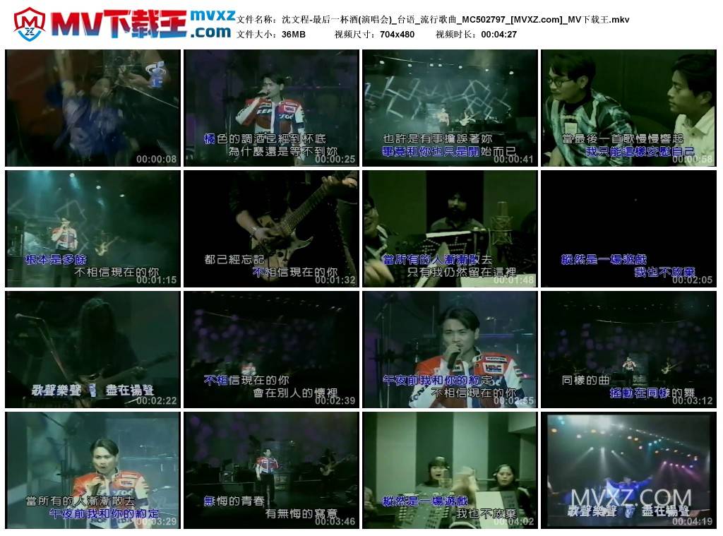 沈文程-最后一杯酒(演唱会)_台语_流行歌曲_MC502797